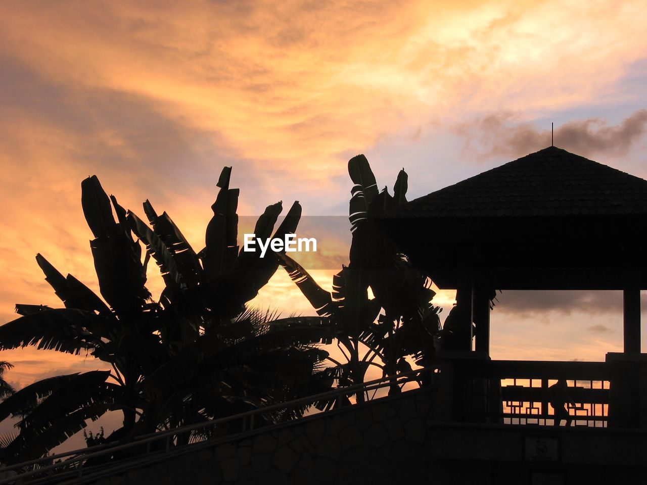 Low angle view of banana leaves by gazebo against sky during sunset