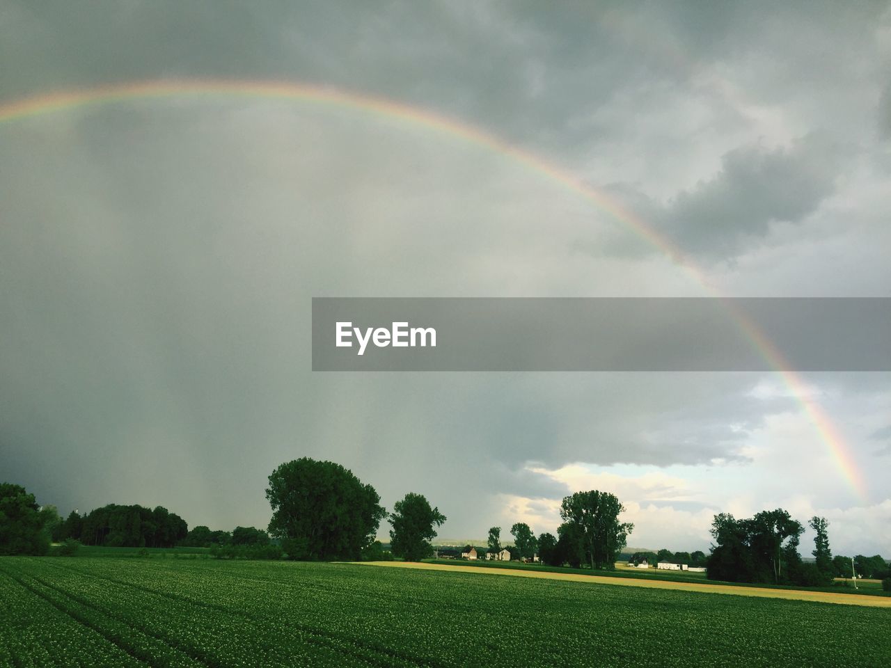 SCENIC VIEW OF FIELD AGAINST RAINBOW IN SKY