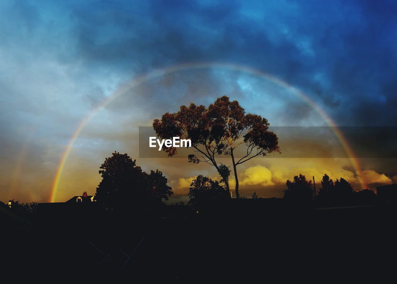 Rainbow over silhouette trees against sky during sunset