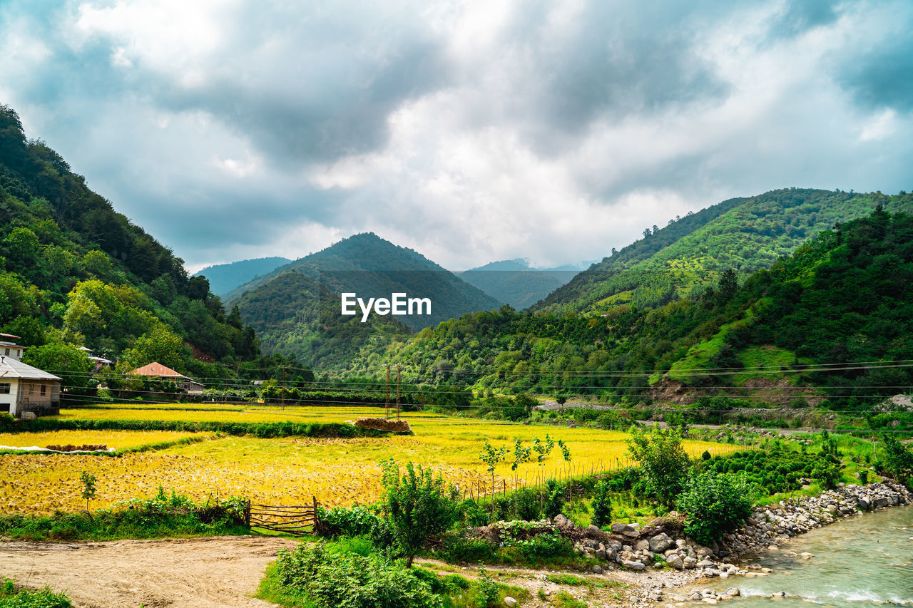 Scenic view of agricultural landscape against sky