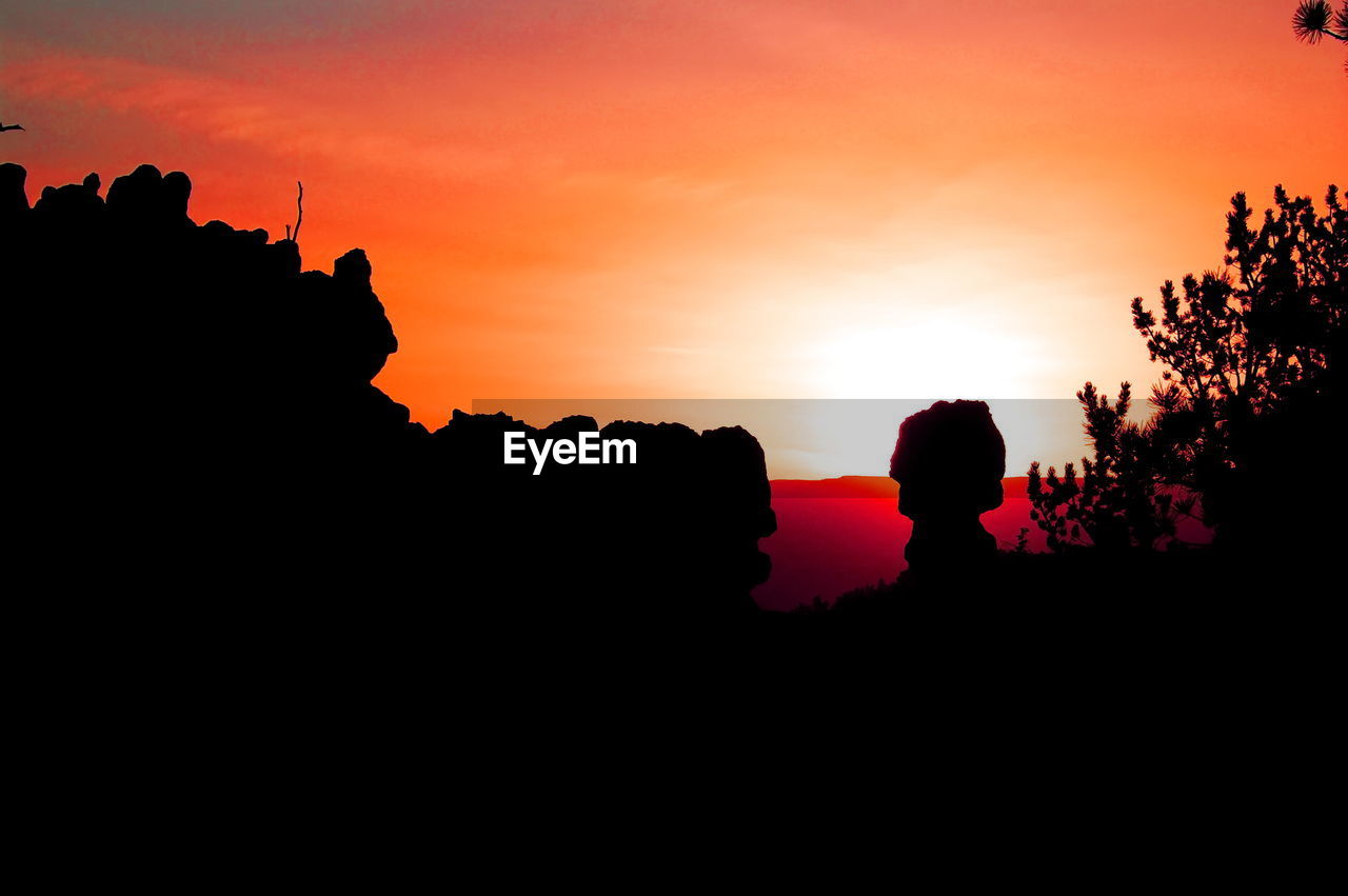 SILHOUETTE TREES AT SUNSET