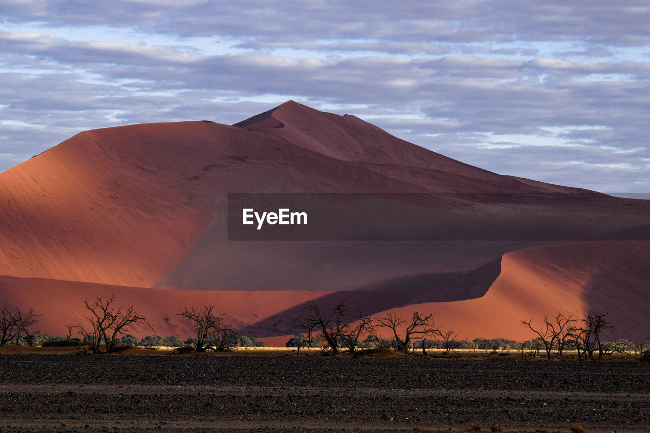 Scenic view of desert against sky