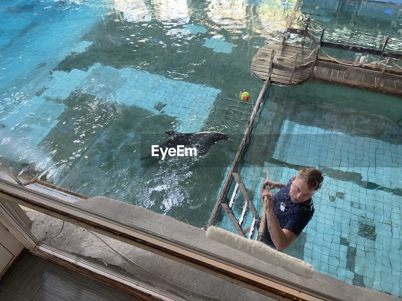 HIGH ANGLE VIEW OF MAN SWIMMING IN POOL