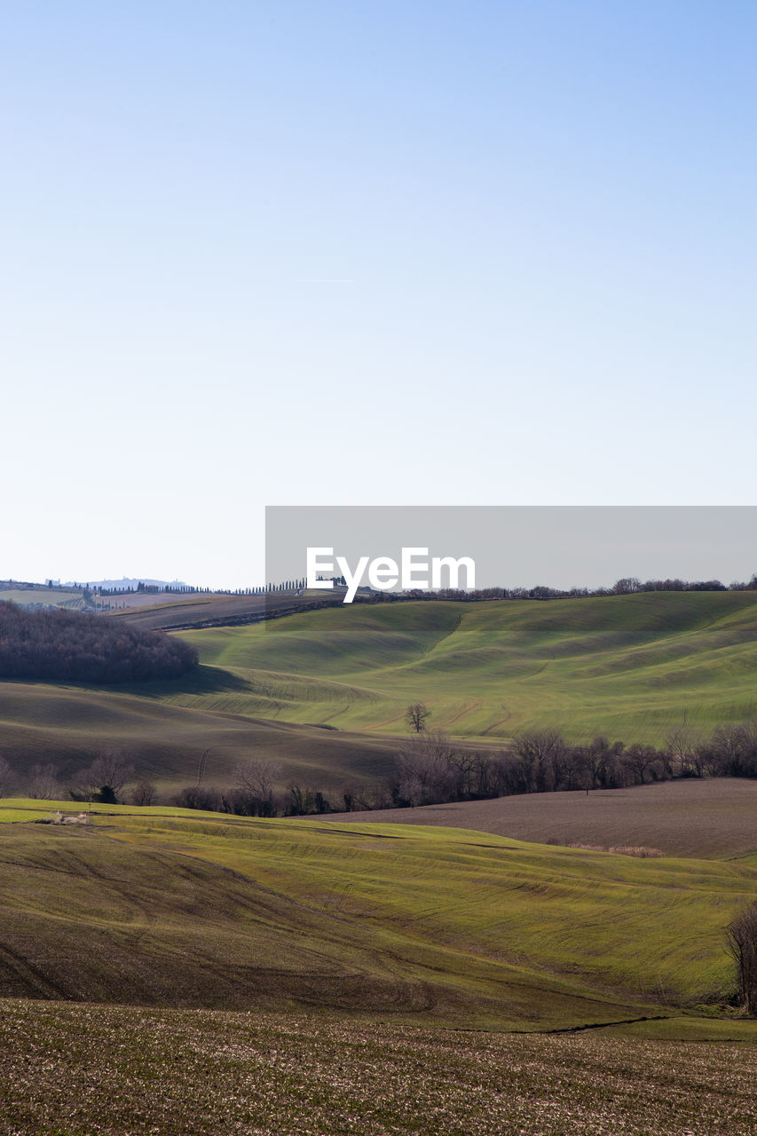 Scenic view of farm against clear sky