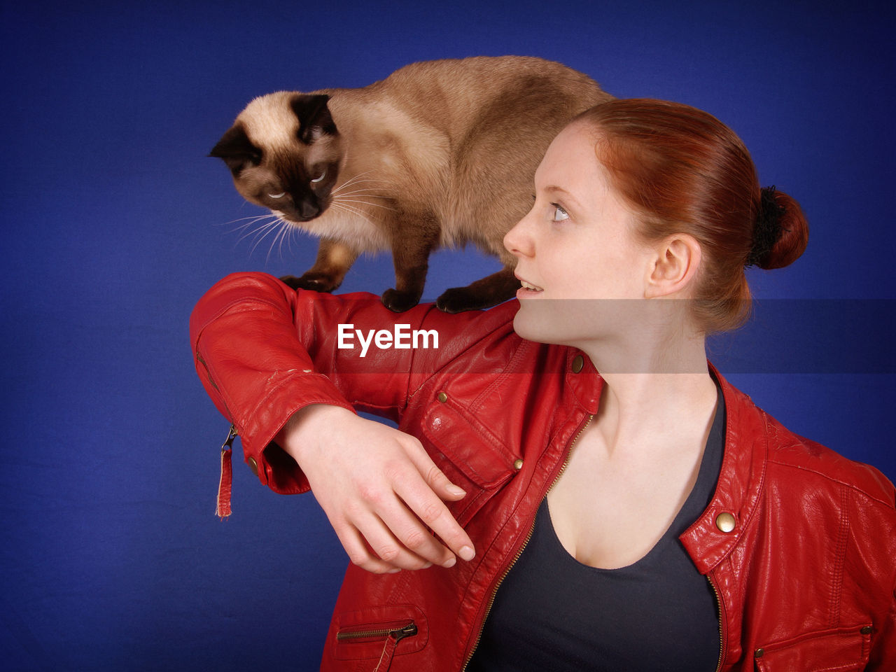 Young woman with siamese cat on arm against blue background