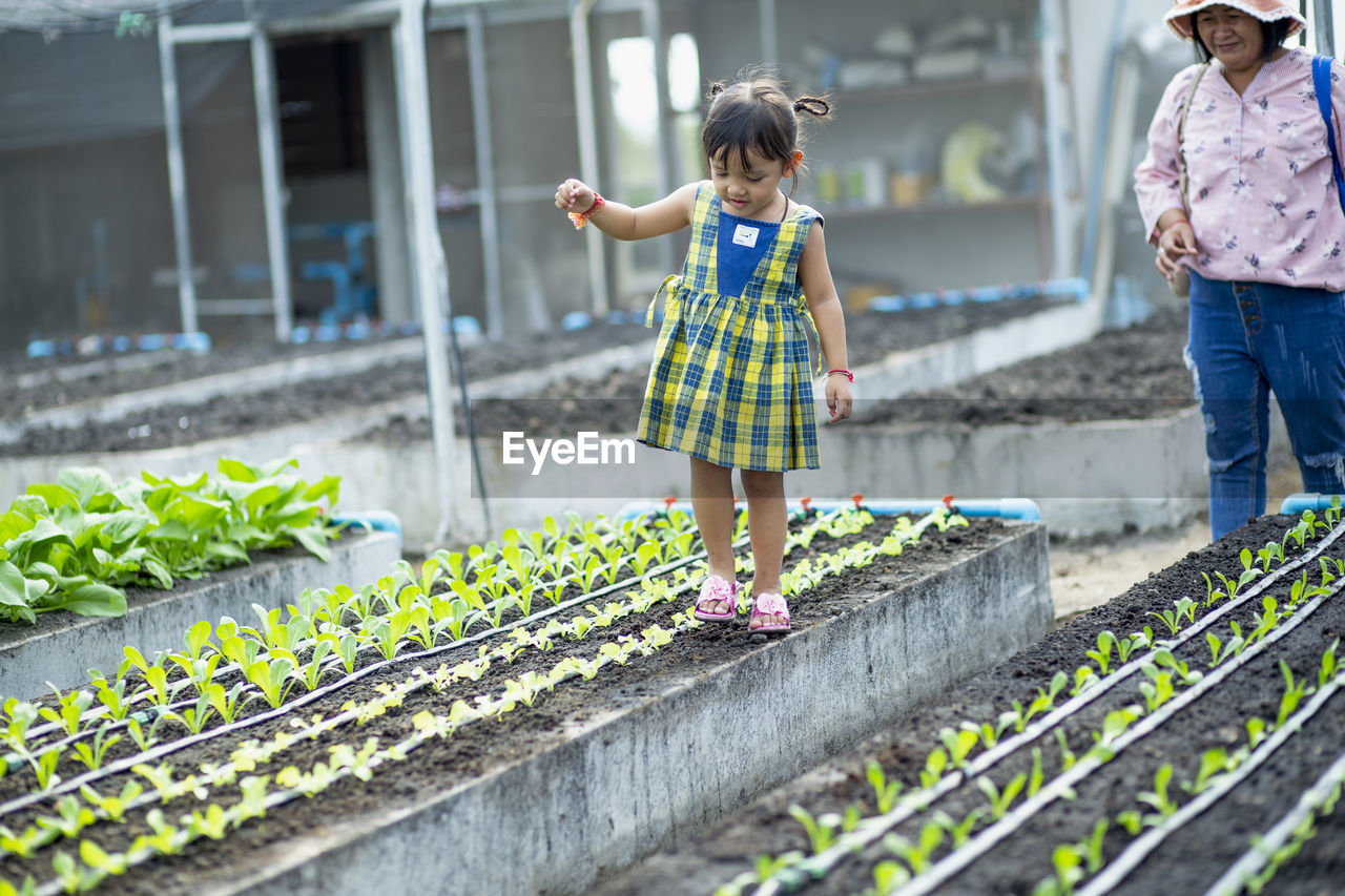 rear view of mother and daughter standing in greenhouse