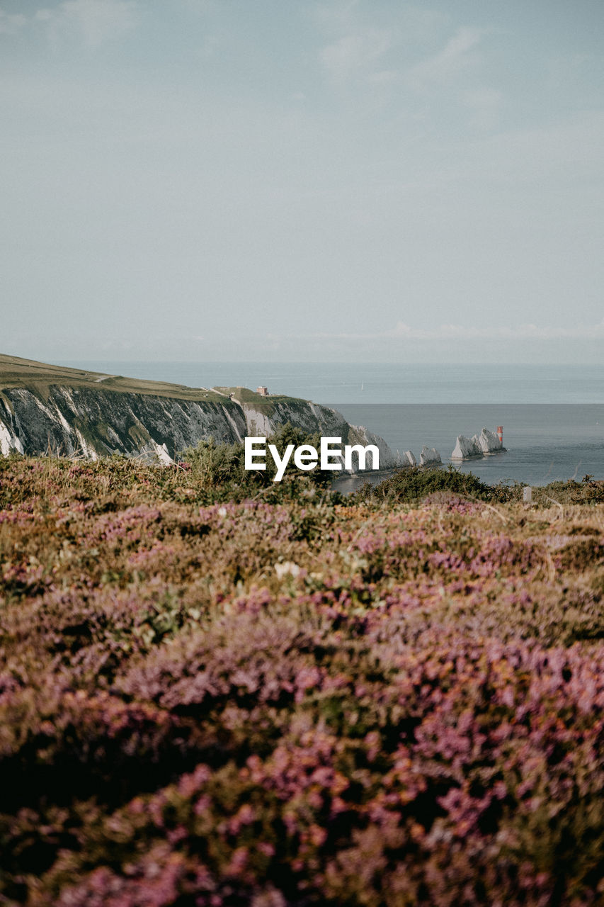 SCENIC VIEW OF SEA AGAINST SKY DURING DUSK