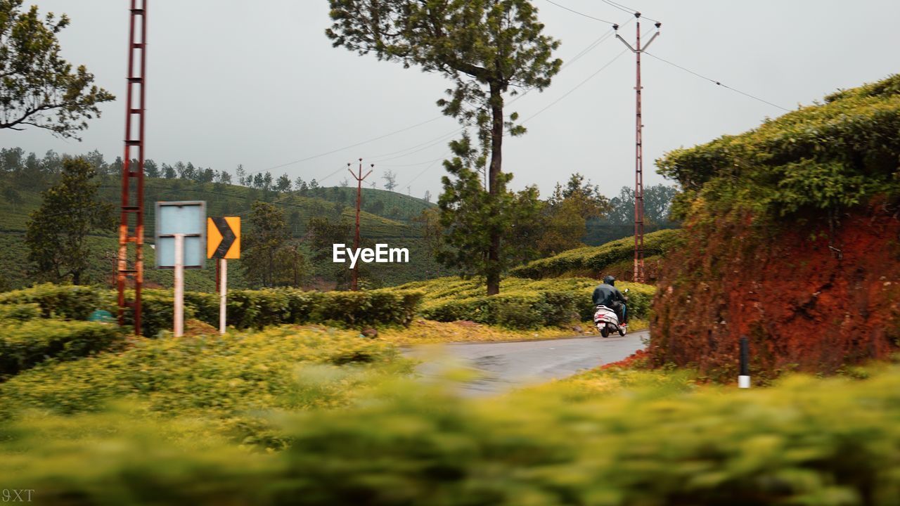 PEOPLE RIDING MOTORCYCLE ON ROAD BY TREES