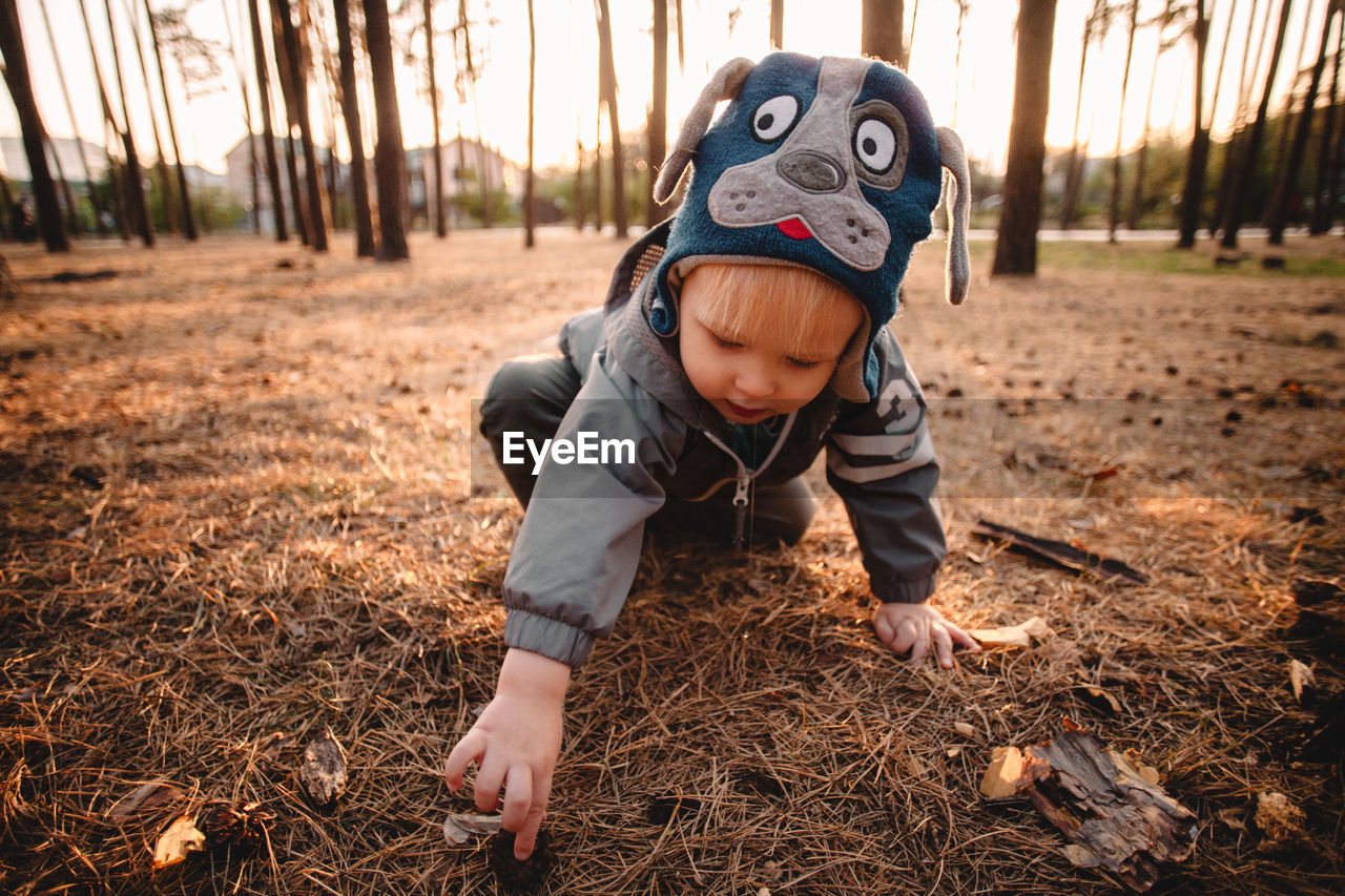 Baby boy exploring pine forest during autumn