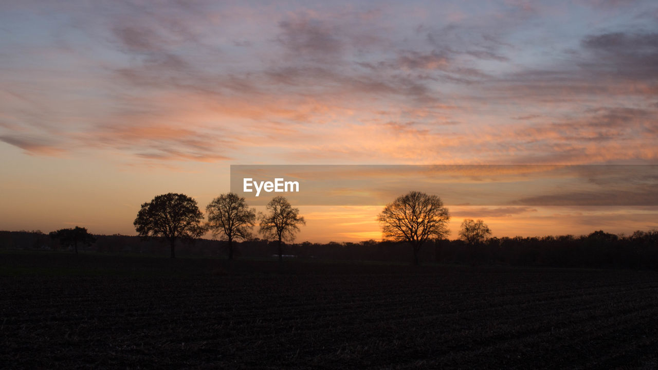 SILHOUETTE TREES ON FIELD DURING SUNSET