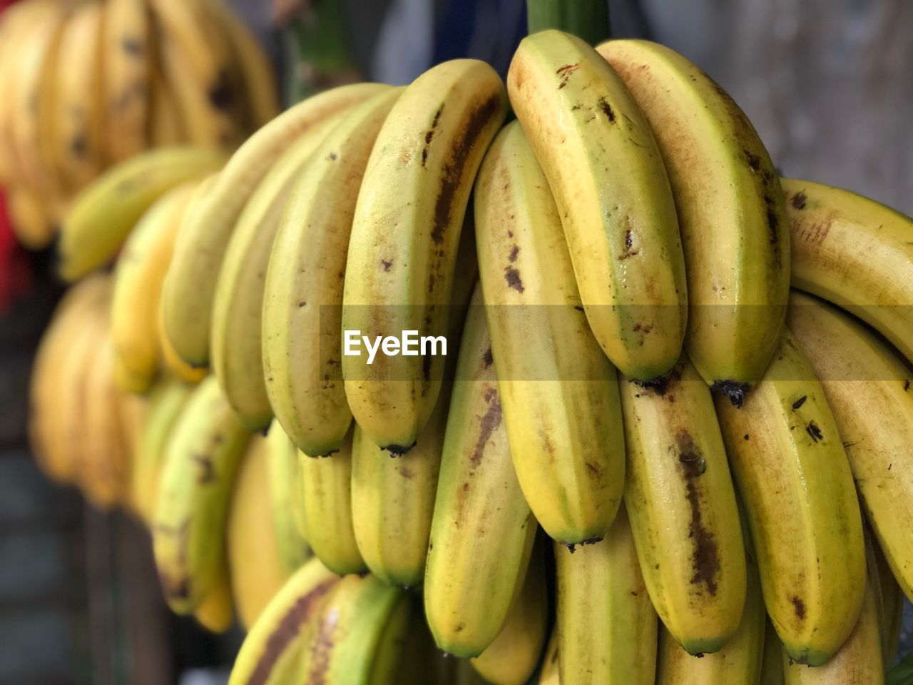CLOSE-UP OF BANANAS IN MARKET