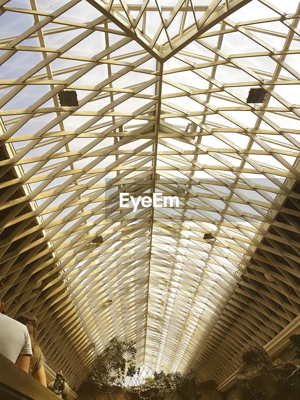 LOW ANGLE VIEW OF SKYLIGHT