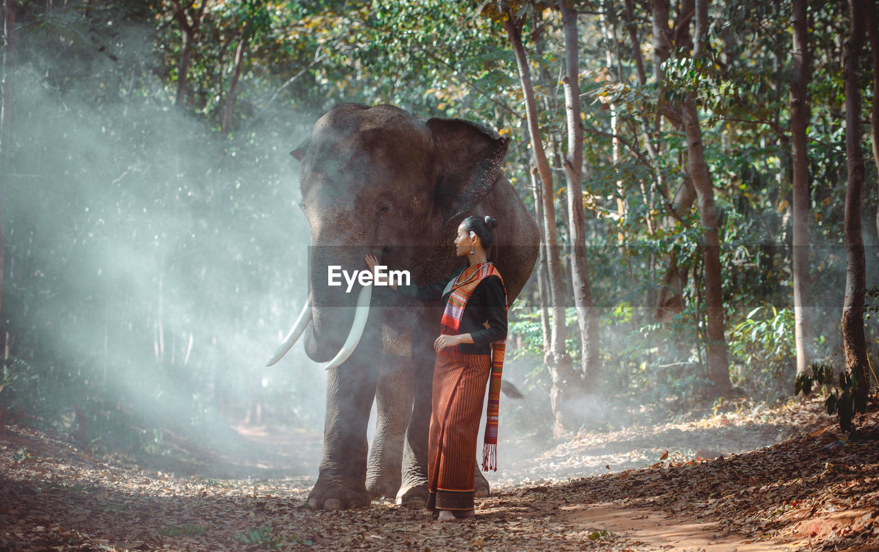 Full length of smiling woman standing with elephant in forest