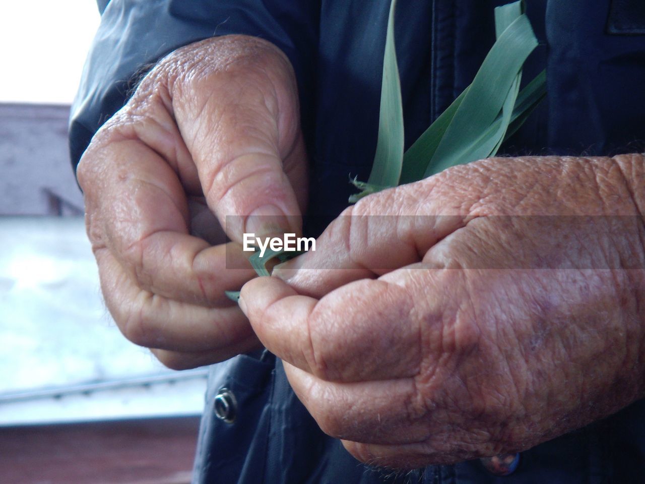 Close-up of wrinkled hands