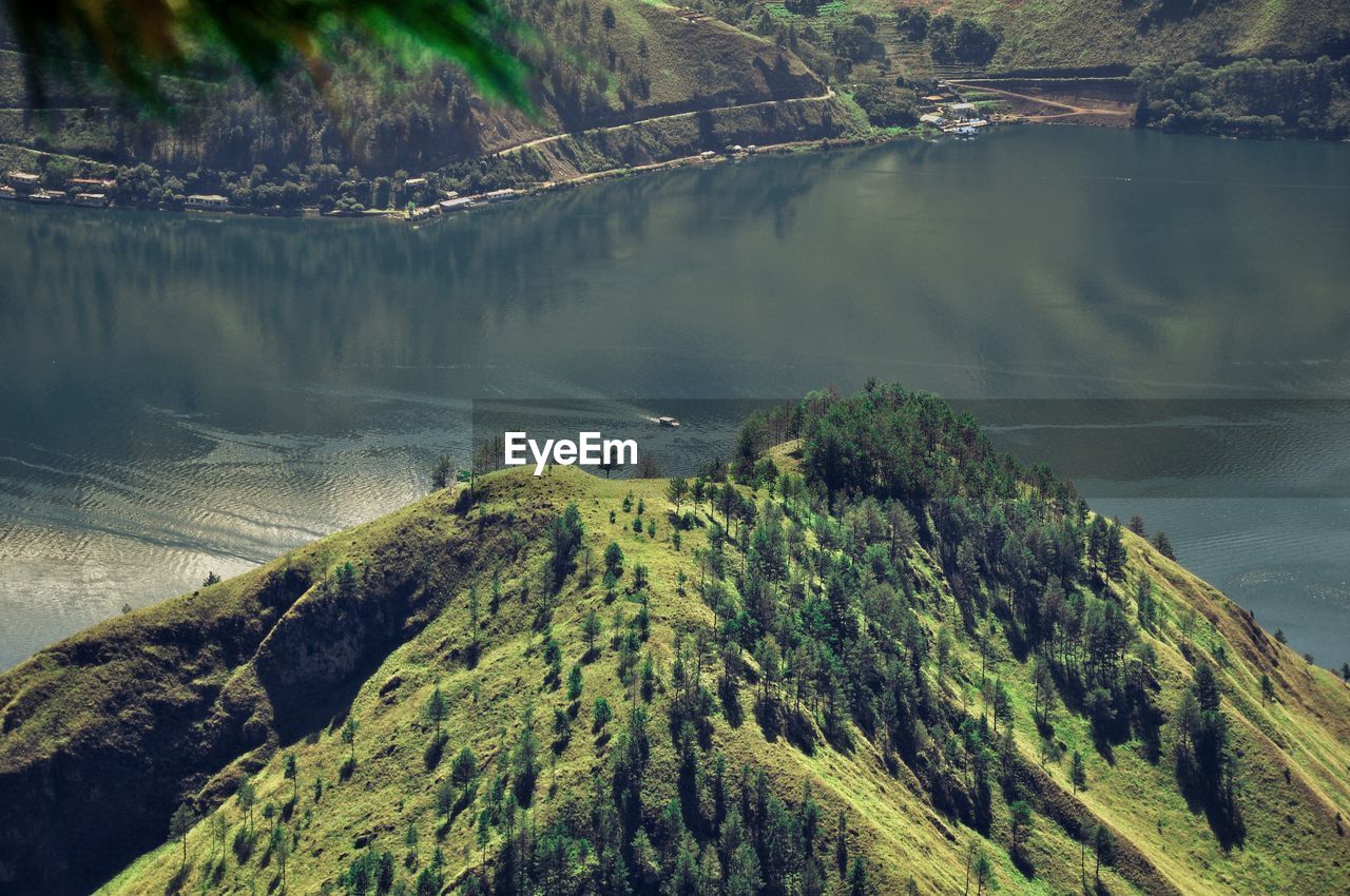 High angle view of trees on landscape