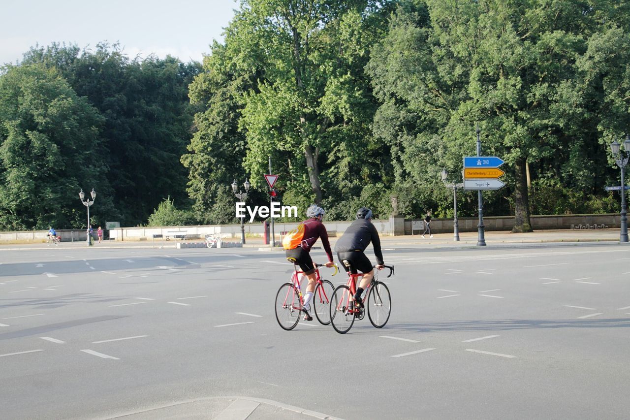 Rear view of cyclists riding on road against trees