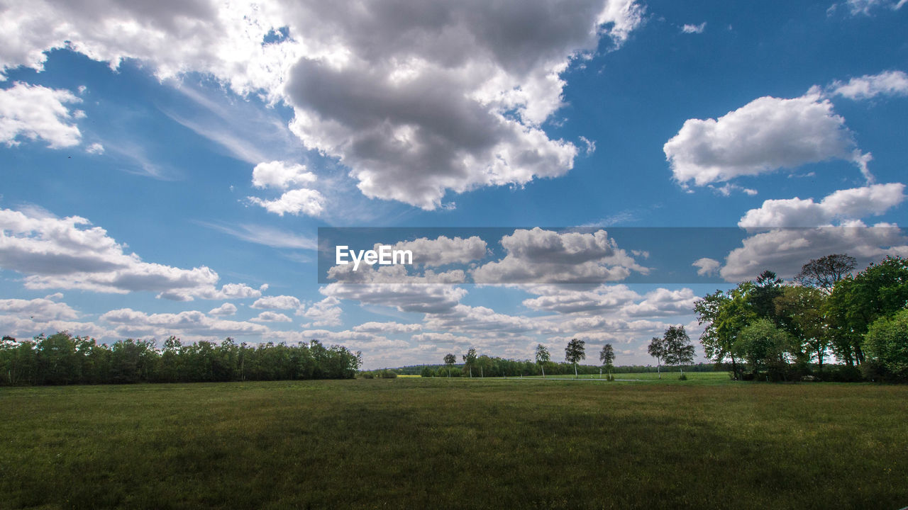 SCENIC VIEW OF LAND AND TREES AGAINST SKY