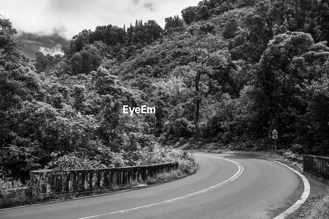 tree, plant, road, black and white, transportation, monochrome, monochrome photography, nature, curve, infrastructure, no people, the way forward, sky, beauty in nature, symbol, lane, black, landscape, forest, winding road, sign, day, mountain, land, scenics - nature, growth, outdoors, cloud, environment, road marking, non-urban scene, rural area, white, empty road, street, marking, tranquility, highway