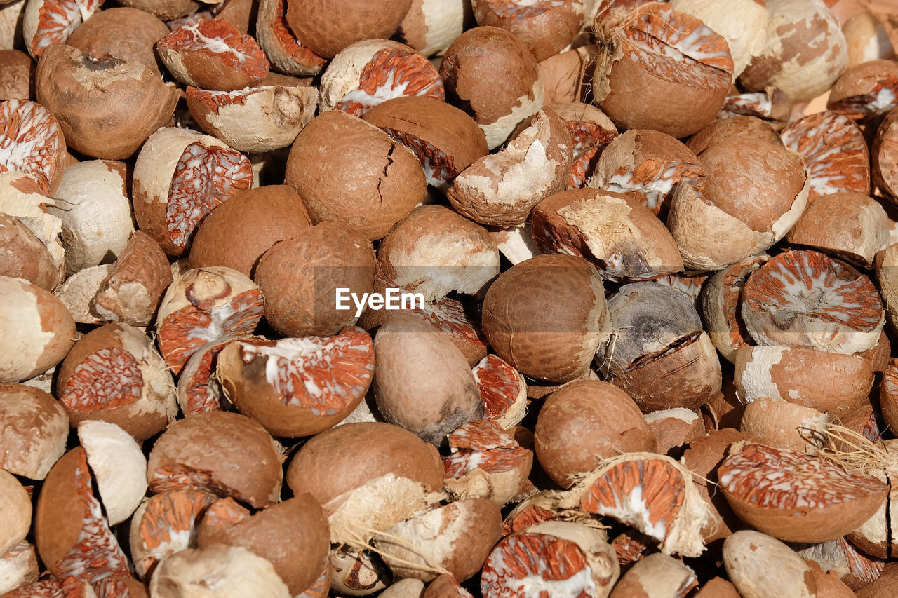 Full frame shot of betel nuts