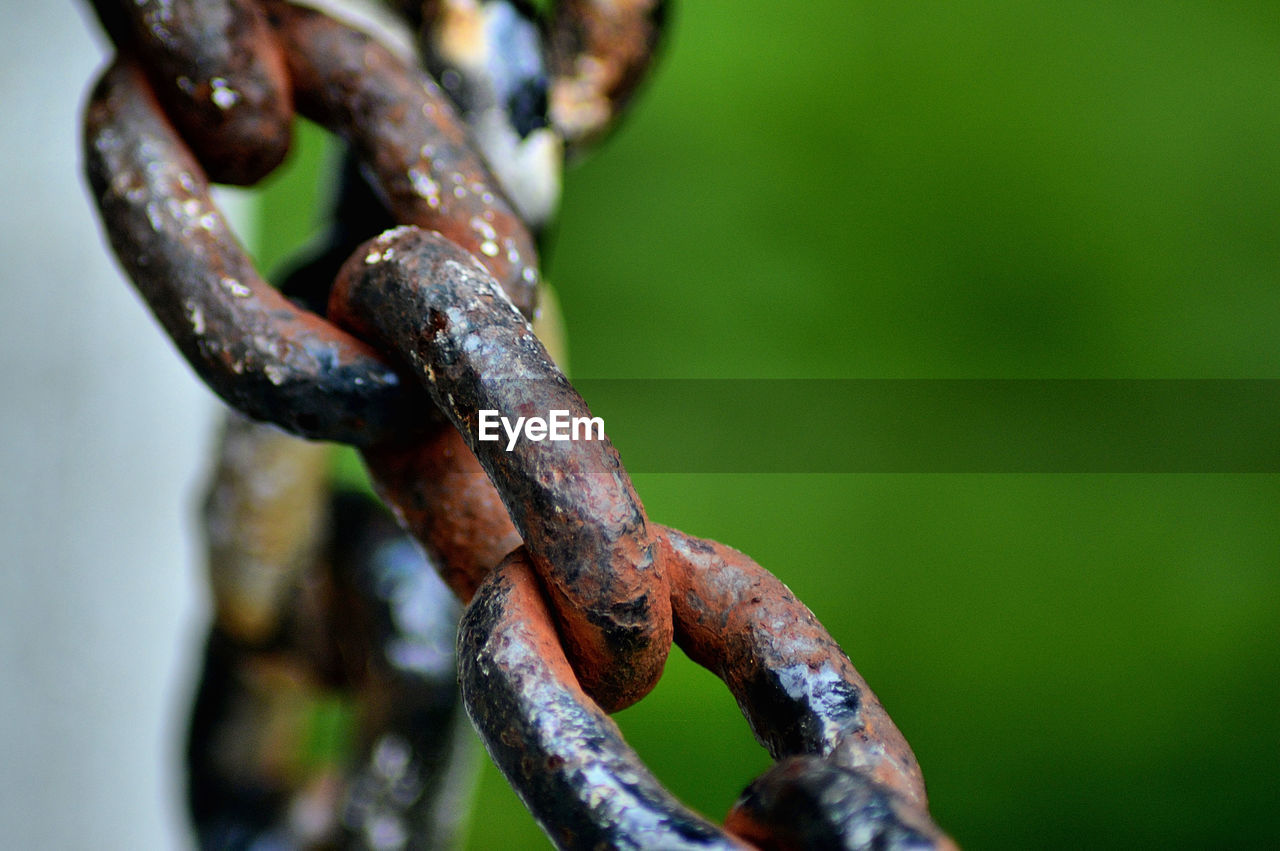 CLOSE-UP OF CHAIN