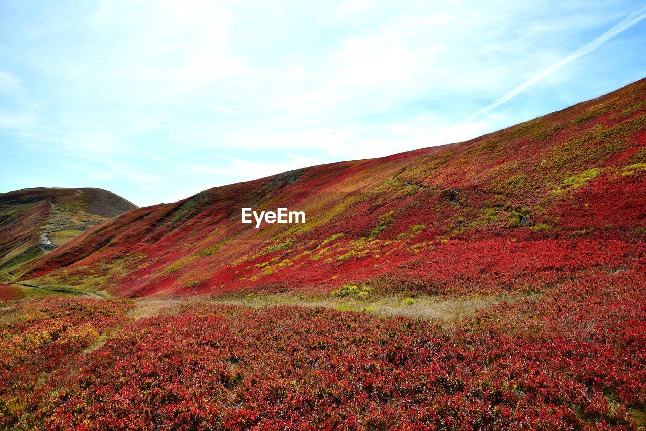 The colors of autumn in the mountains