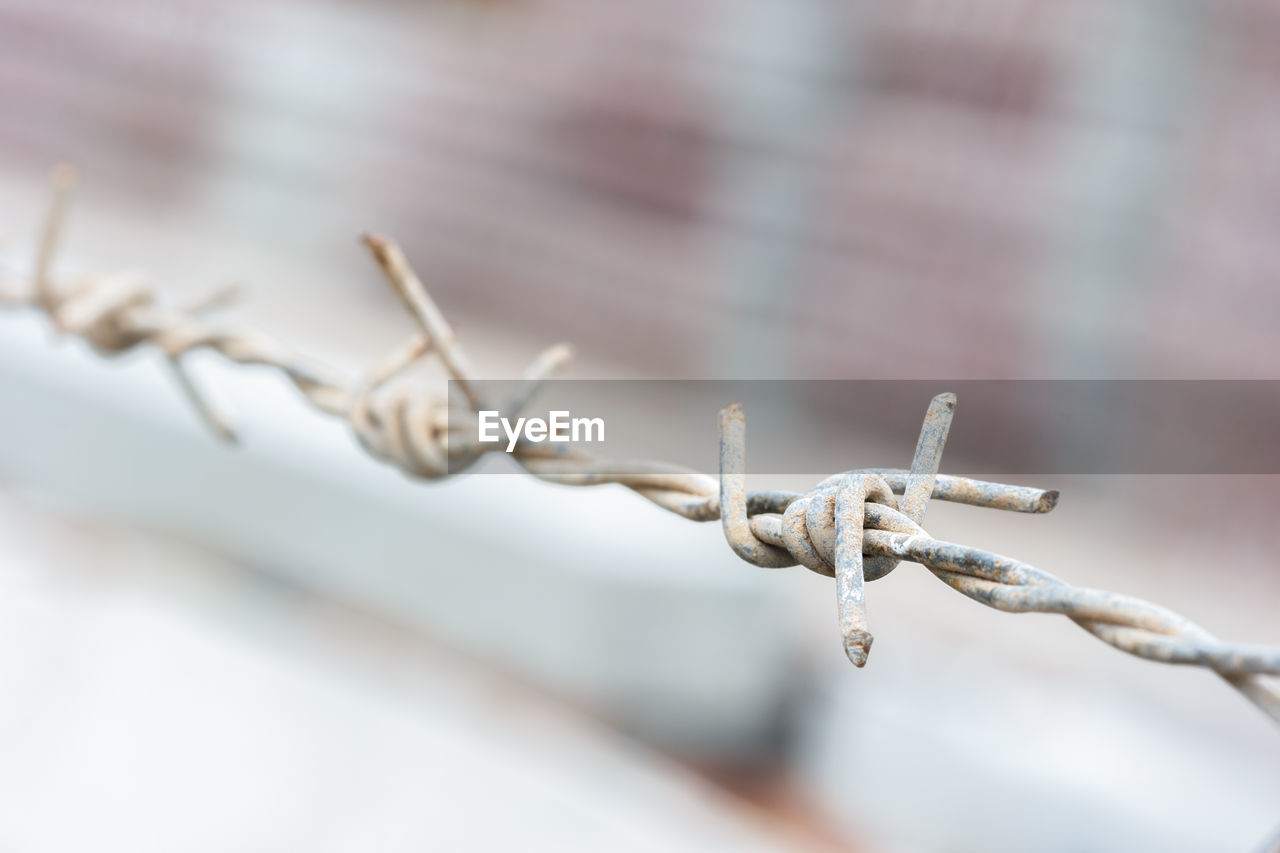 CLOSE-UP OF RUSTY BARBED WIRE