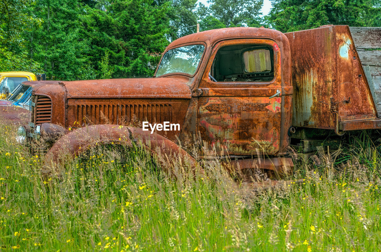 OLD ABANDONED CAR BY PLANTS AGAINST SKY