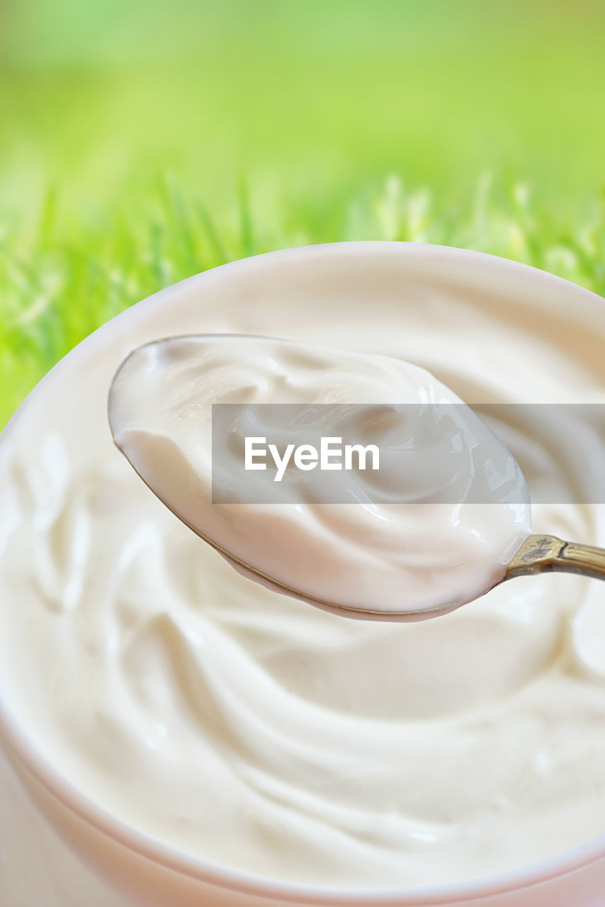 High angle close-up of yogurt on bowl