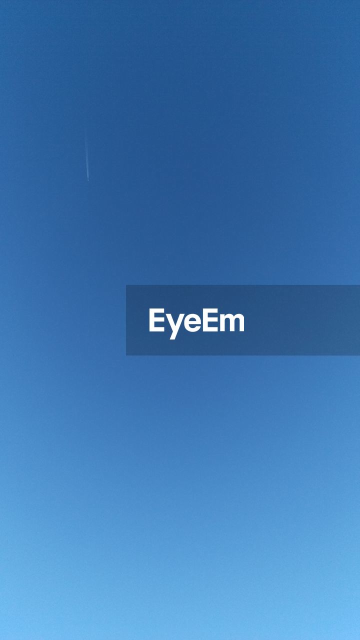 LOW ANGLE VIEW OF TREES AGAINST CLEAR BLUE SKY