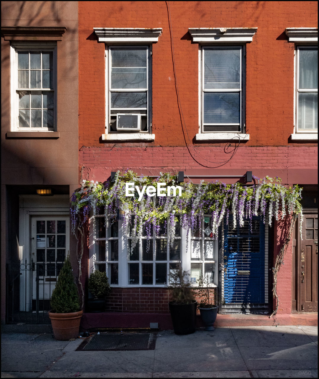 POTTED PLANTS ON FOOTPATH BY BUILDING