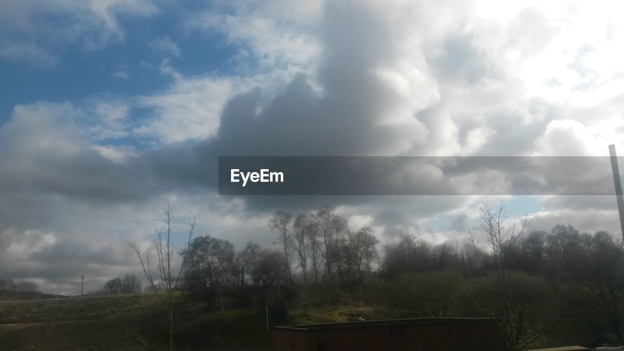 TREES ON FIELD AGAINST CLOUDY SKY