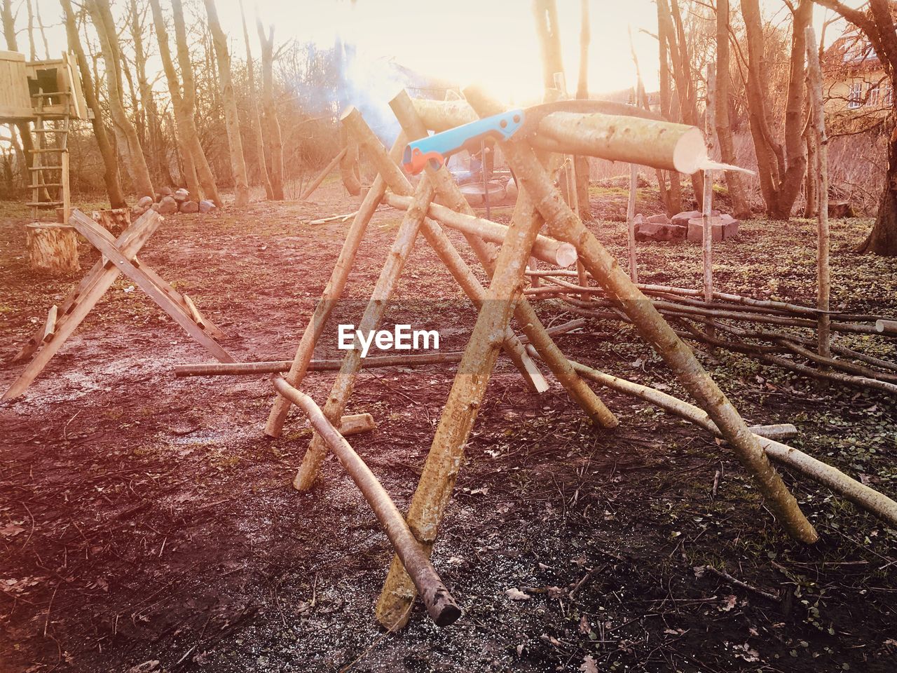 TILT IMAGE OF BICYCLE IN FOREST
