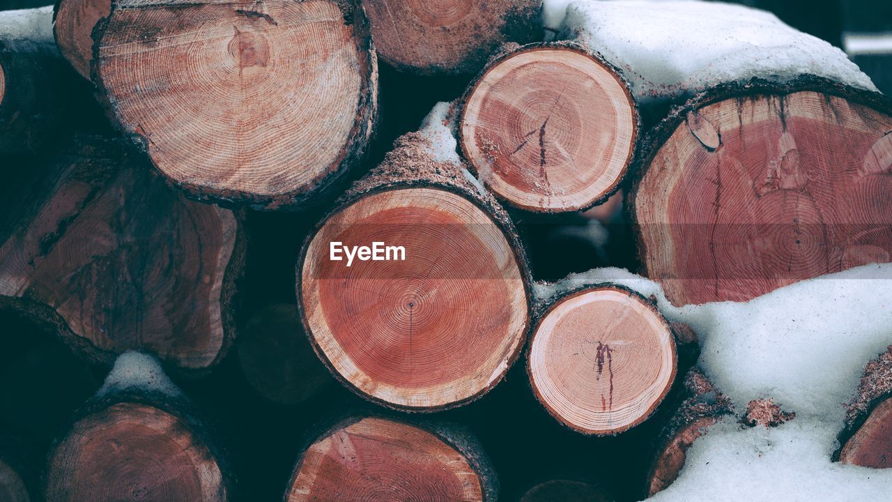 FULL FRAME SHOT OF LOGS ON WOOD IN FOREST