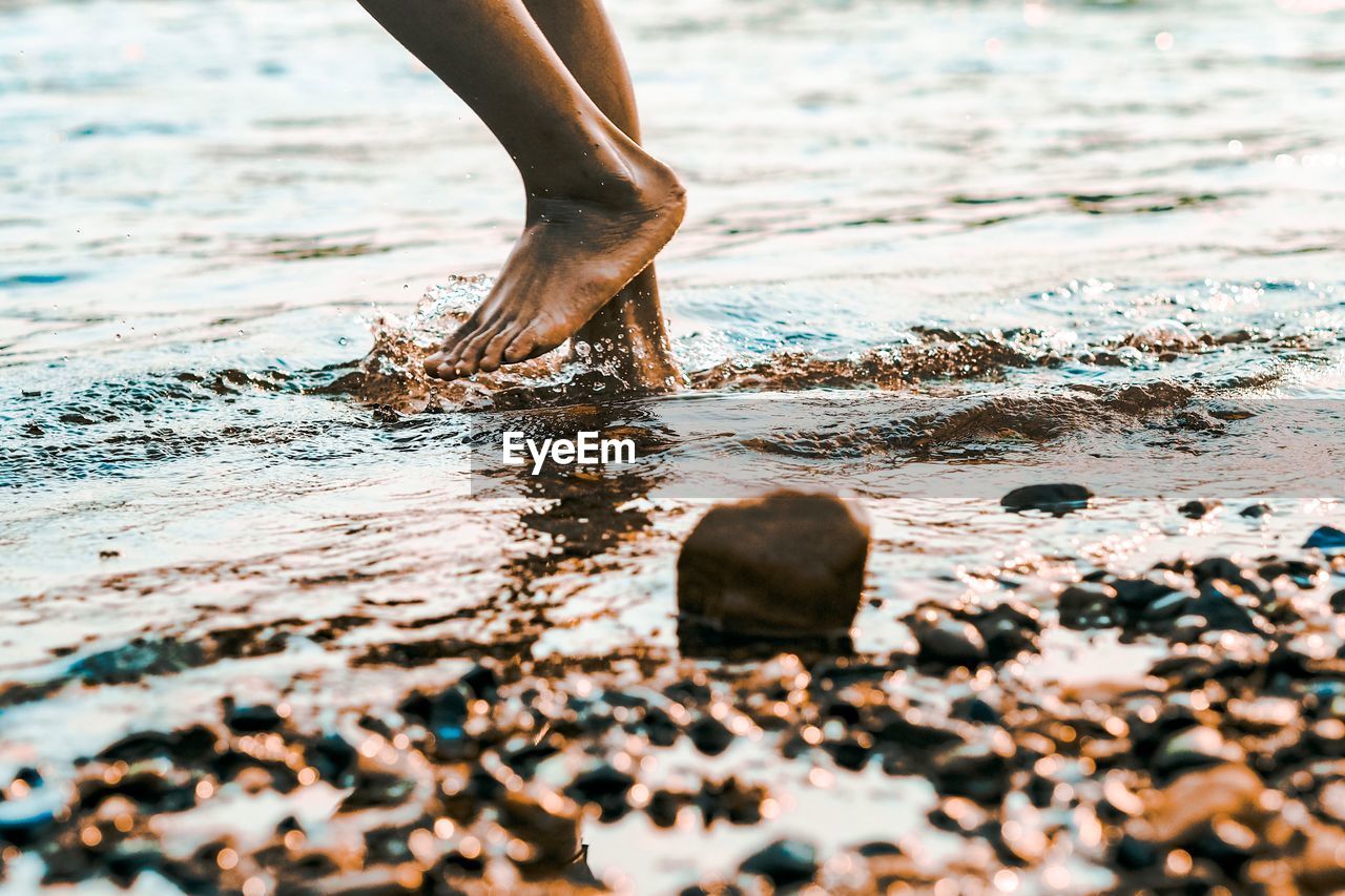 Low section of person standing in sea