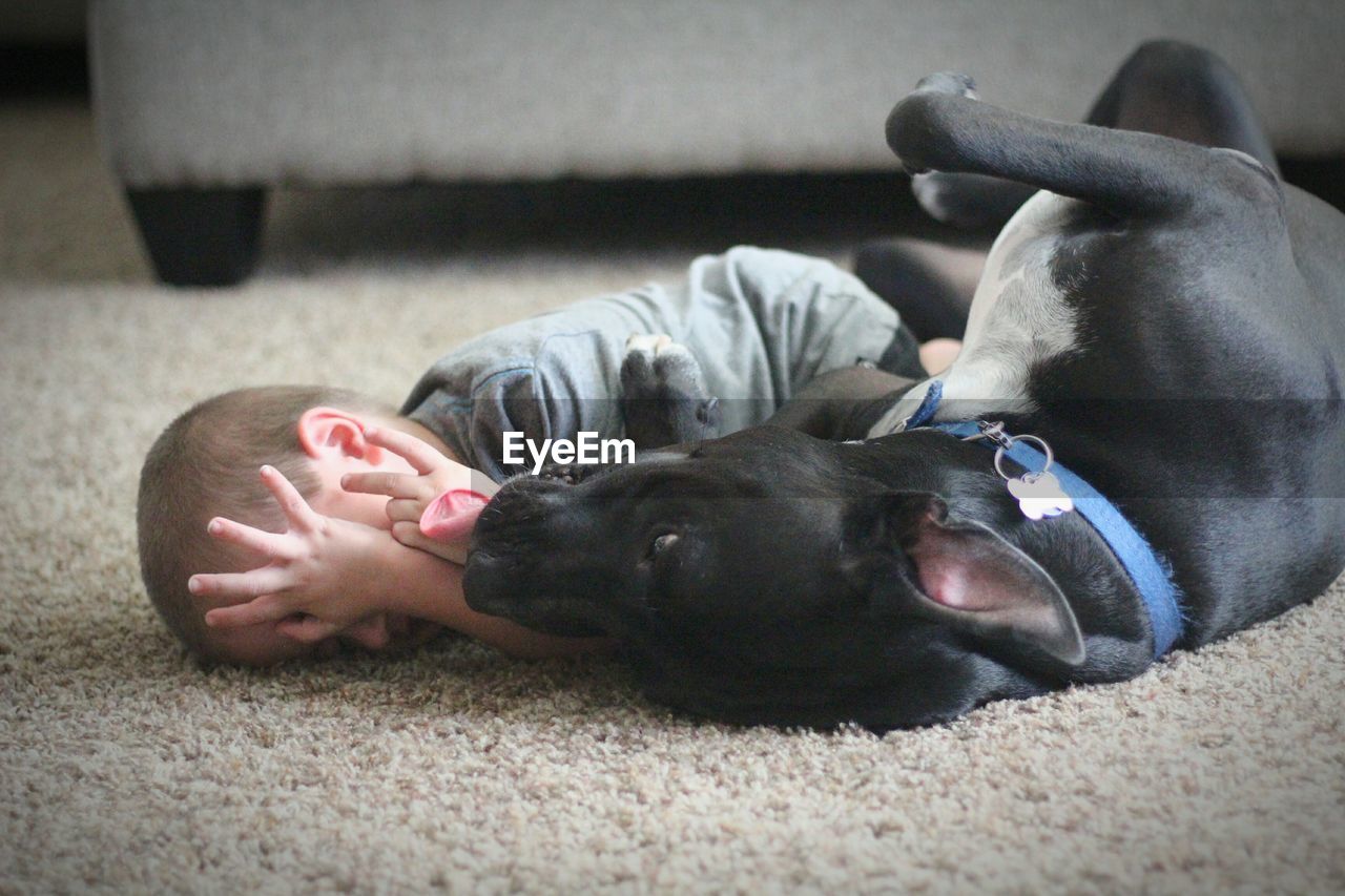 Child and dog playing on floor