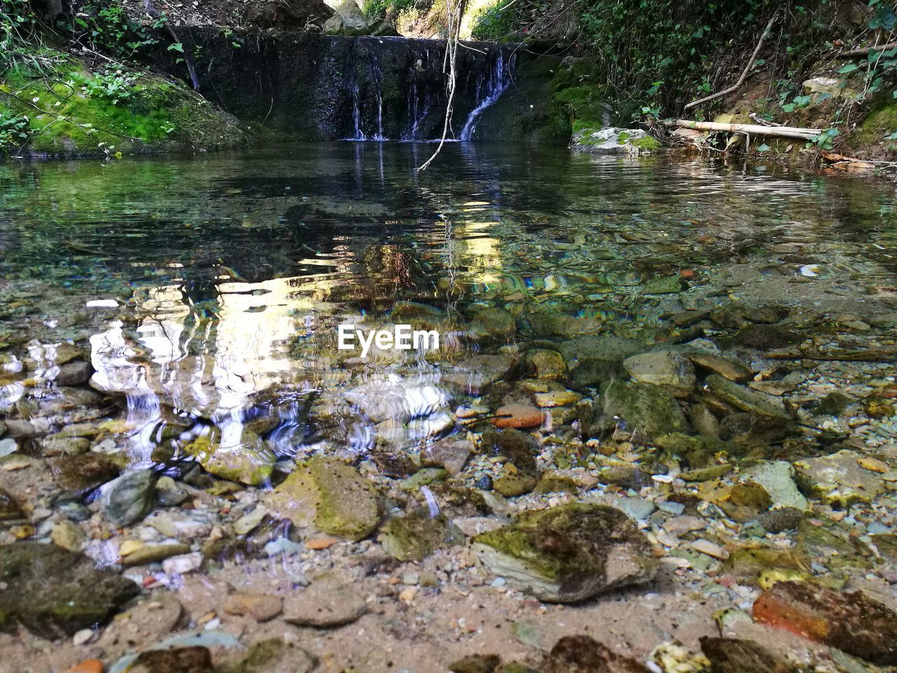 HIGH ANGLE VIEW OF DUCKS IN POND