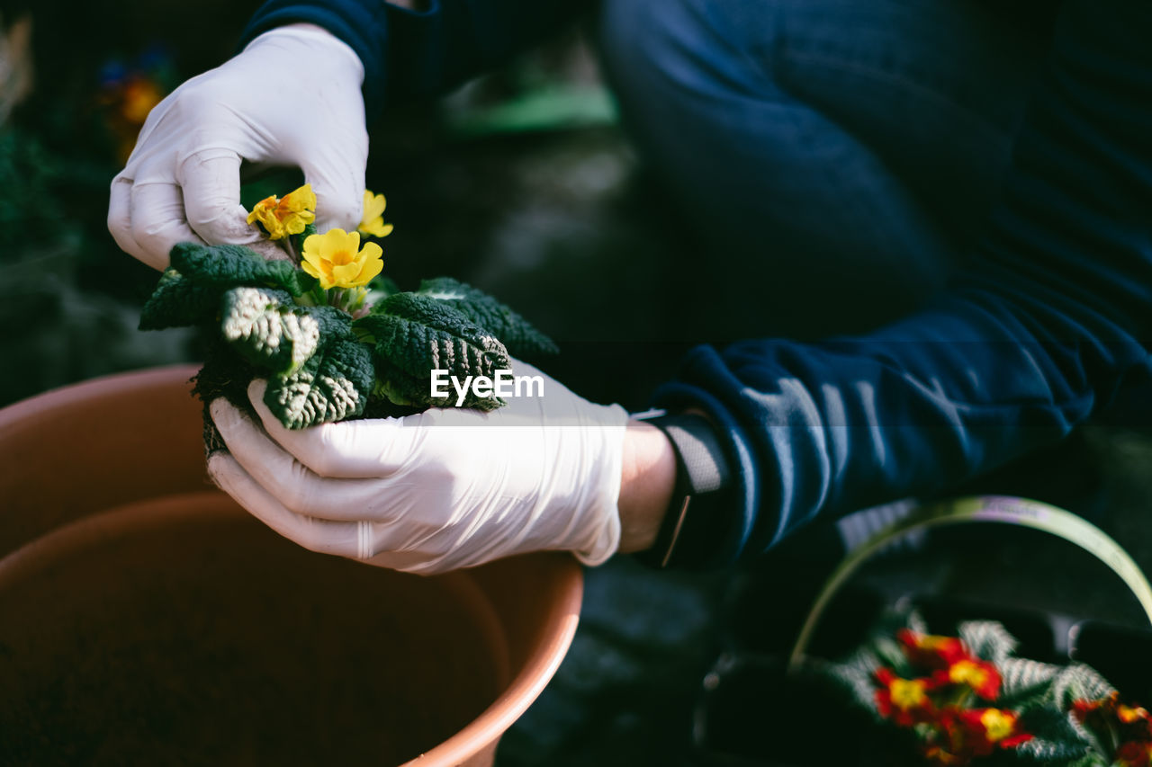 Midsection of man planting flowers in garden