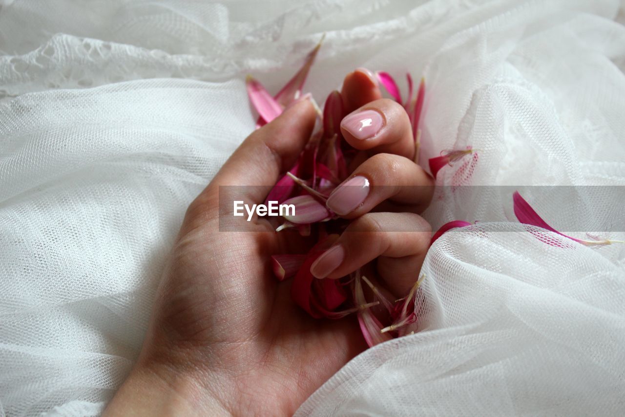 High angle view of woman hand holding flower petals on bed