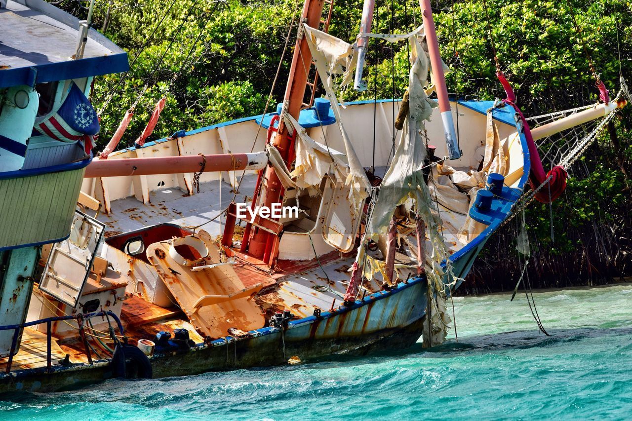 FISHING BOATS IN SEA BY TREES