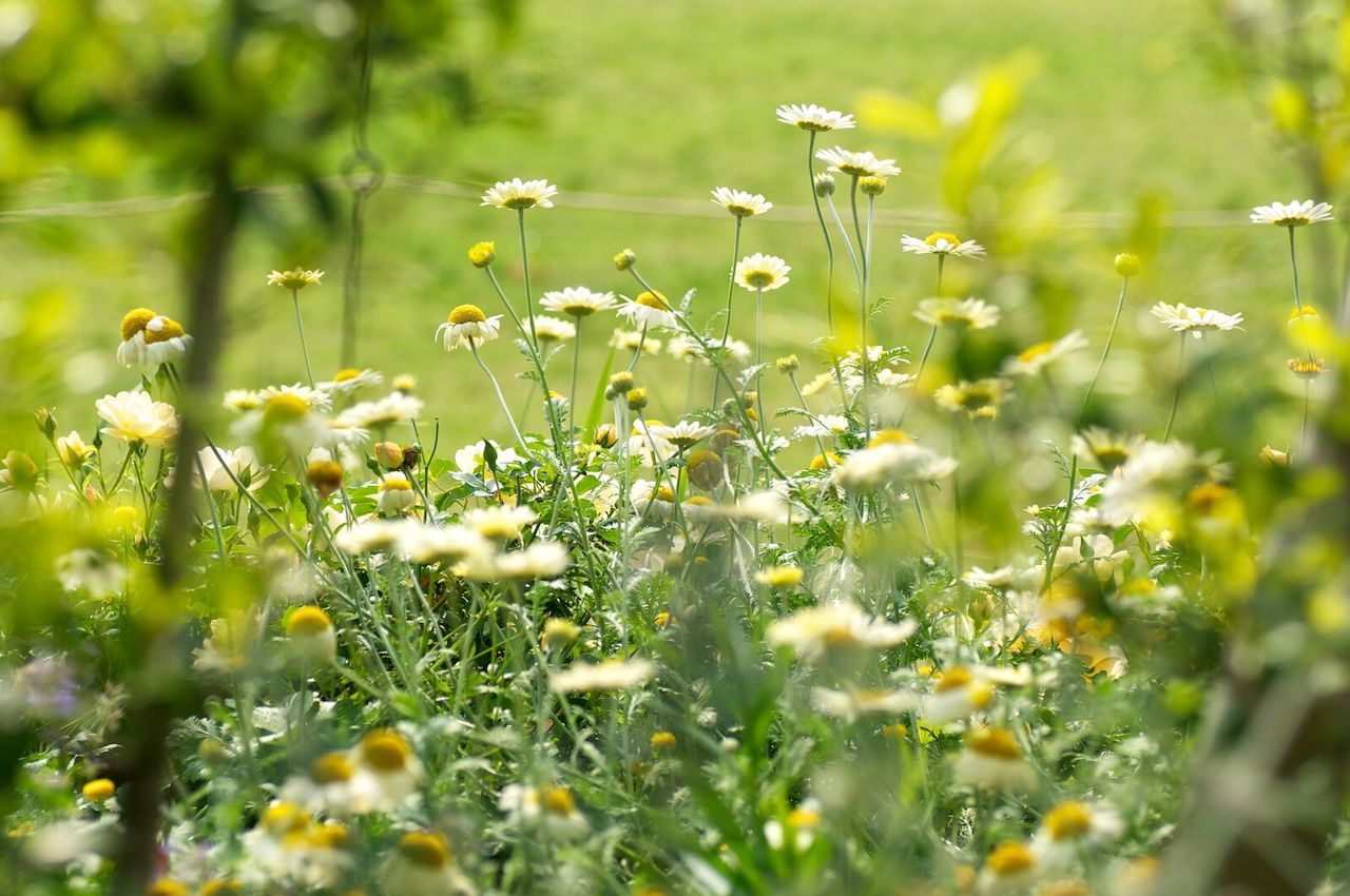 Beautiful glimpse into the natural world