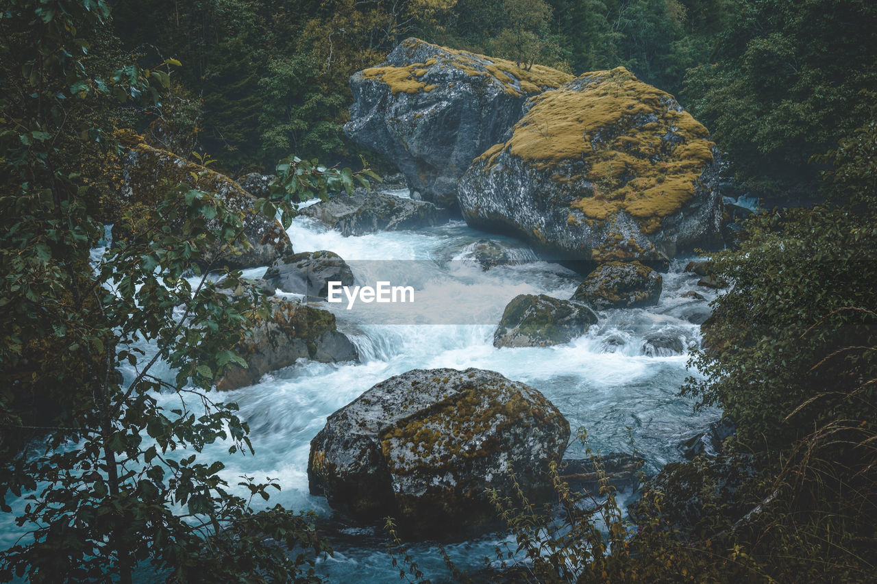 WATERFALL IN FOREST