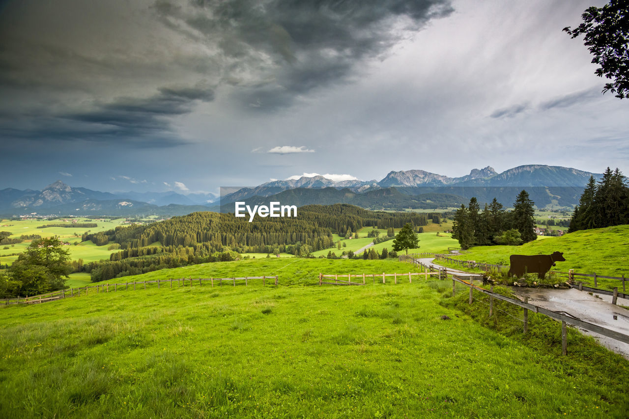 SCENIC VIEW OF GREEN LANDSCAPE AND MOUNTAINS AGAINST SKY