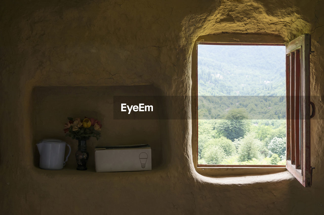 POTTED PLANTS ON WINDOW SILL