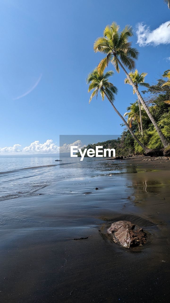 Beach black sand costa rica