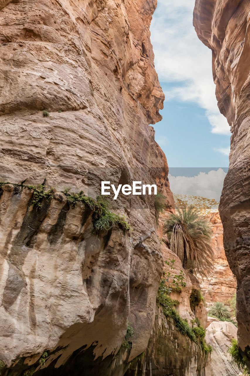 rock, rock formation, arch, nature, travel destinations, canyon, beauty in nature, travel, scenics - nature, geology, wadi, non-urban scene, land, cliff, environment, sky, eroded, no people, terrain, physical geography, landscape, natural arch, outdoors, tranquility, formation, day, cloud, plant, sandstone, mountain, tourism, architecture, extreme terrain, desert, activity, low angle view, tree, sunlight, leisure activity