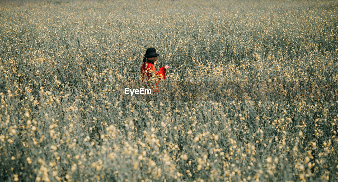 Woman standing at rape farm