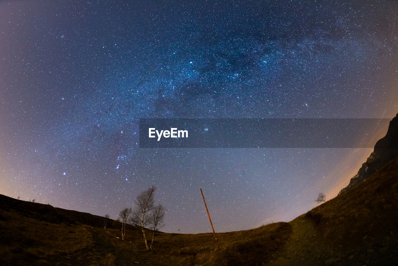 Low angle view of trees against star field at night