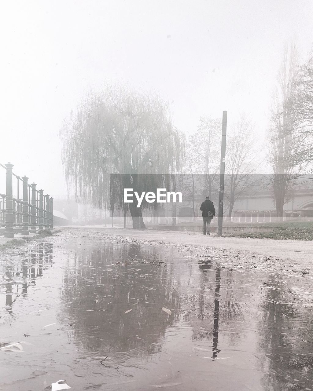 Rear view of man by puddle on street against sky during foggy weather