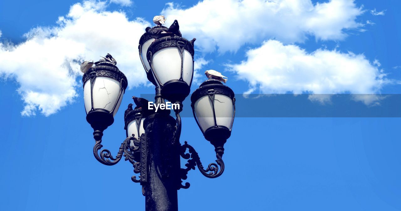 Low angle view of birds perching on lamp post against sky