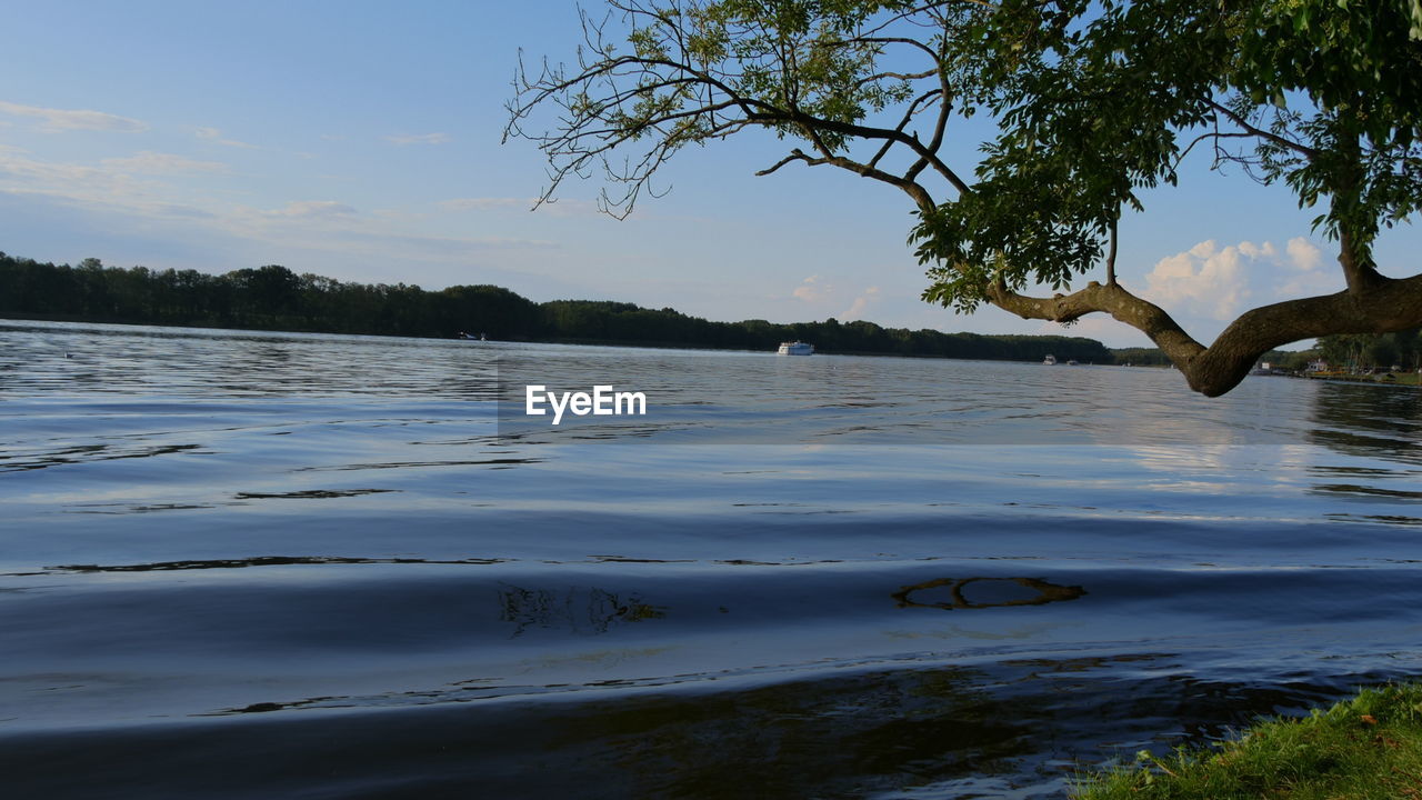 SCENIC VIEW OF LAKE AGAINST TREES